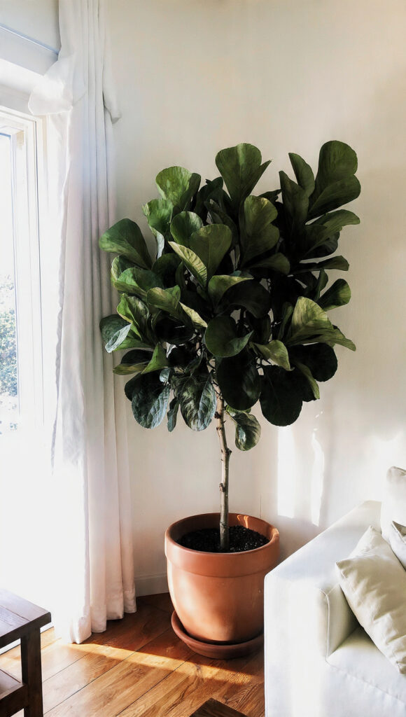 20 Corner Decor Ideas to Transform Every Forgotten Angle in Your Home 1 20 Corner Decor Ideas to Transform Every Forgotten Angle in Your Home - Decor Lads